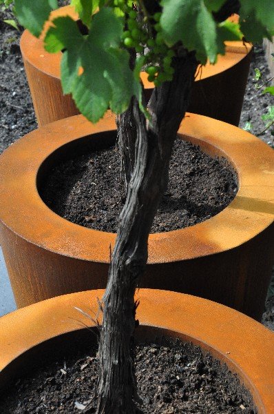 CADO cortenstaal 100x80 cm bloempot
