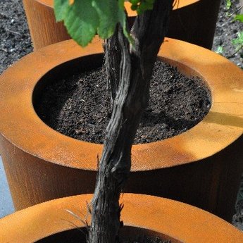 CADO cortenstaal 60x60 cm bloempot