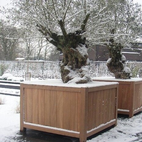 Valencia 100x100x95 cm houten bloembak Valencia 100x100x95 cm houten bloembak