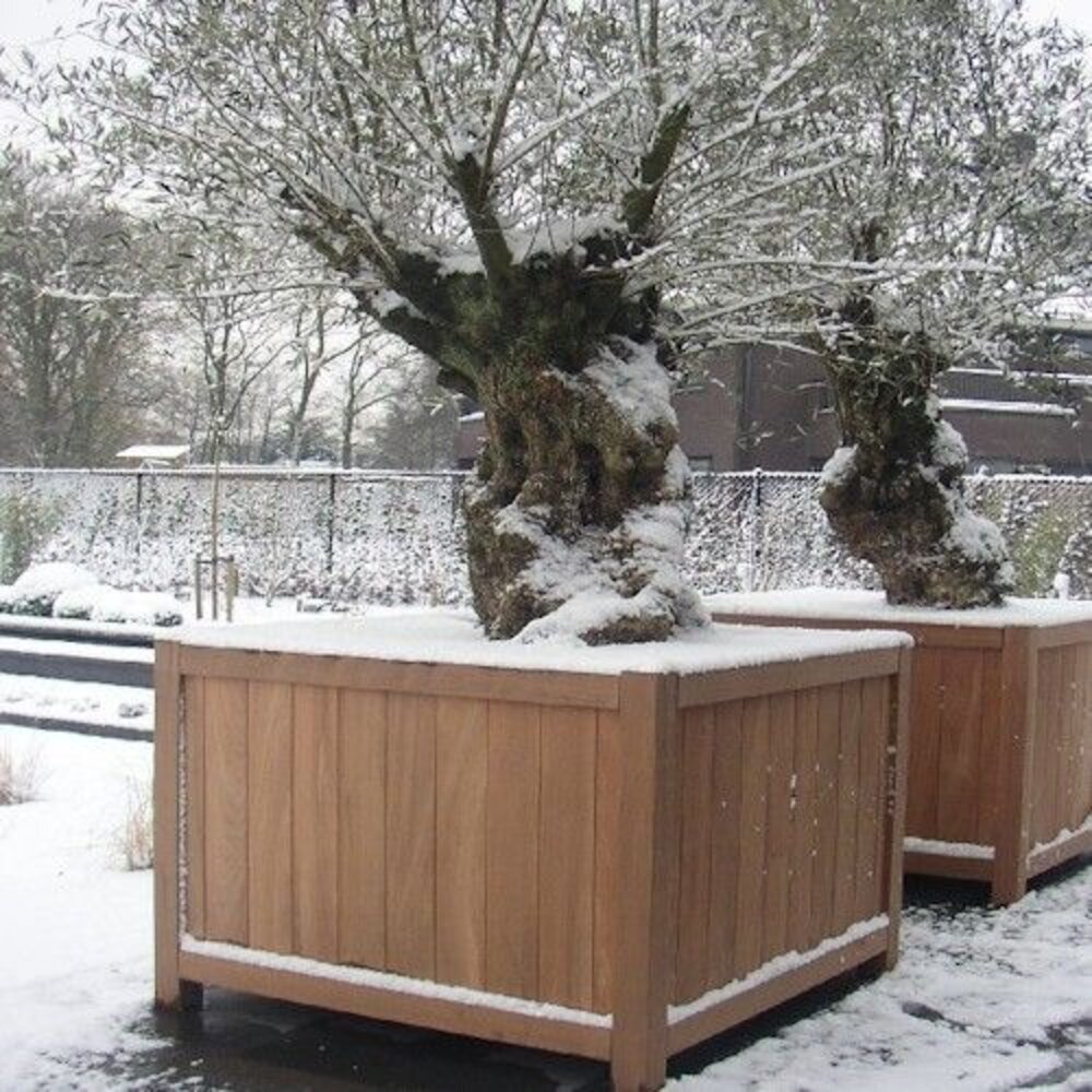 Valencia 80x80x80 cm houten bloembak Valencia 80x80x80 cm houten bloembak