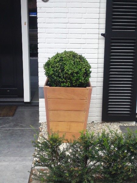 Sevilla 50x50x58 cm houten bloembak