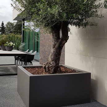 Buxus polyester 120x120x40 cm plantenbak