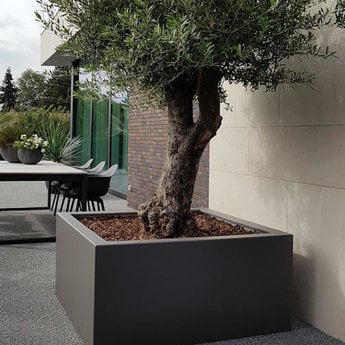 Buxus polyester 100x100x80 cm plantenbak