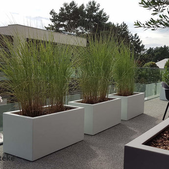 Buxus polyester 90x50x60 cm plantenbak