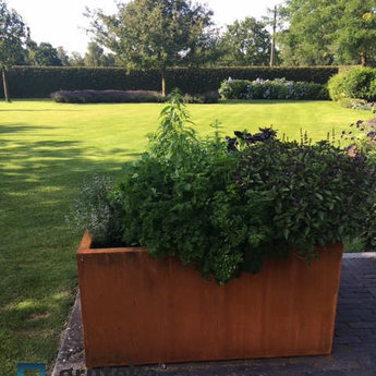 Andes cortenstaal 60x60x60 cm plantenbak