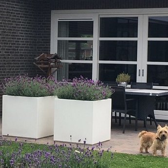 Buxus polyester 150x50x50 cm plantenbak