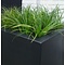 Buxus polyester 120x50x50 cm plantenbak