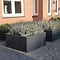 Buxus polyester 80x80x40 cm plantenbak
