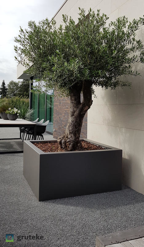 Buxus polyester 80x80x40 cm plantenbak