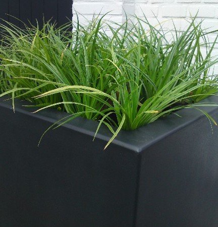 Buxus polyester 200x200x40 cm plantenbak