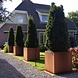 Andes cortenstaal 140x140x40 cm plantenbak Andes cortenstaal 140x140x40 cm plantenbak