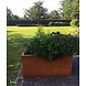 Andes cortenstaal 140x140x40 cm plantenbak Andes cortenstaal 140x140x40 cm plantenbak