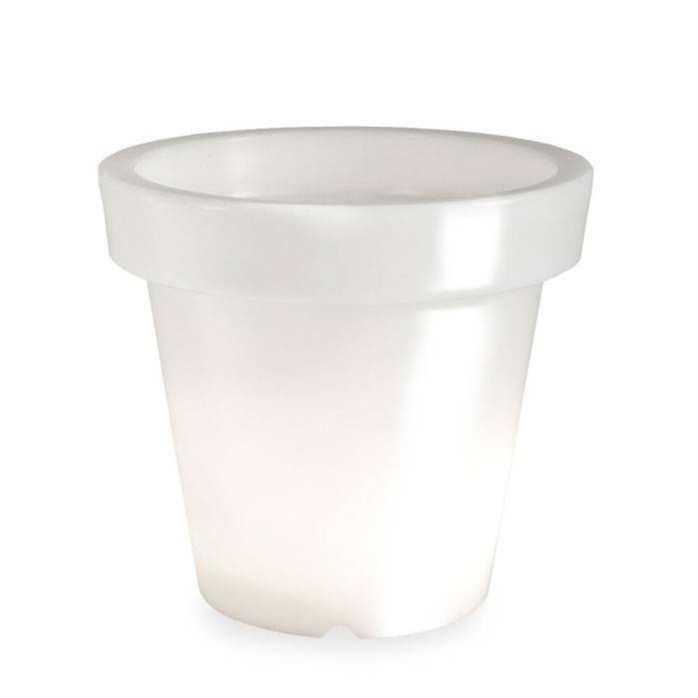 Bloom! POT 90 no light Bloom! POT 90 no light