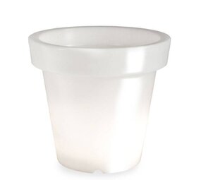 Bloom! POT 90 no light Bloom! POT 90 no light