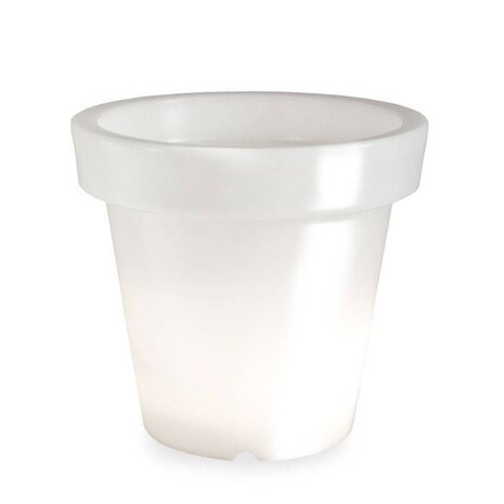 Bloom! POT 90 no light Bloom! POT 90 no light