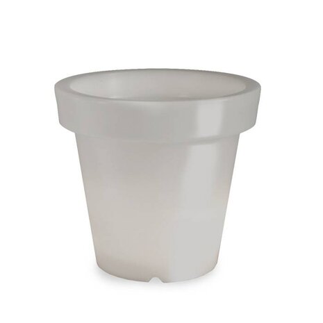 Bloom! POT 90 no light Bloom! POT 90 no light