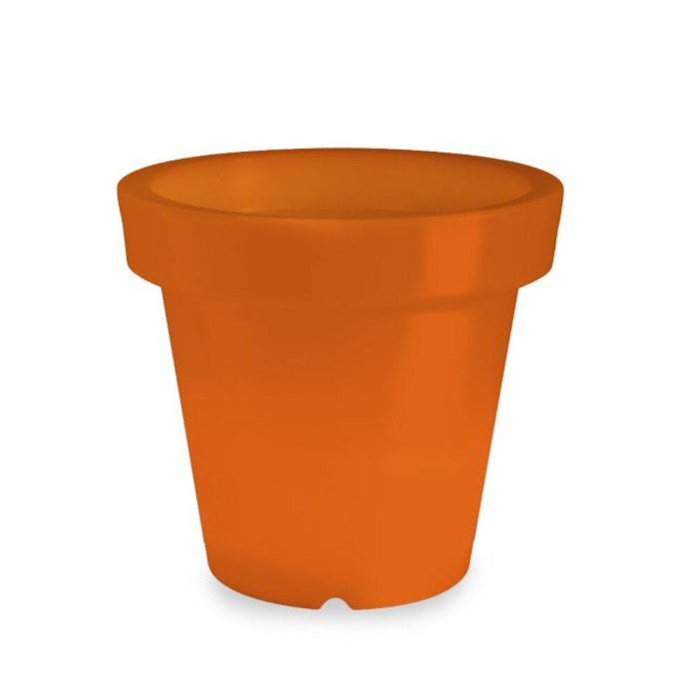 Bloom! POT 90 no light Bloom! POT 90 no light