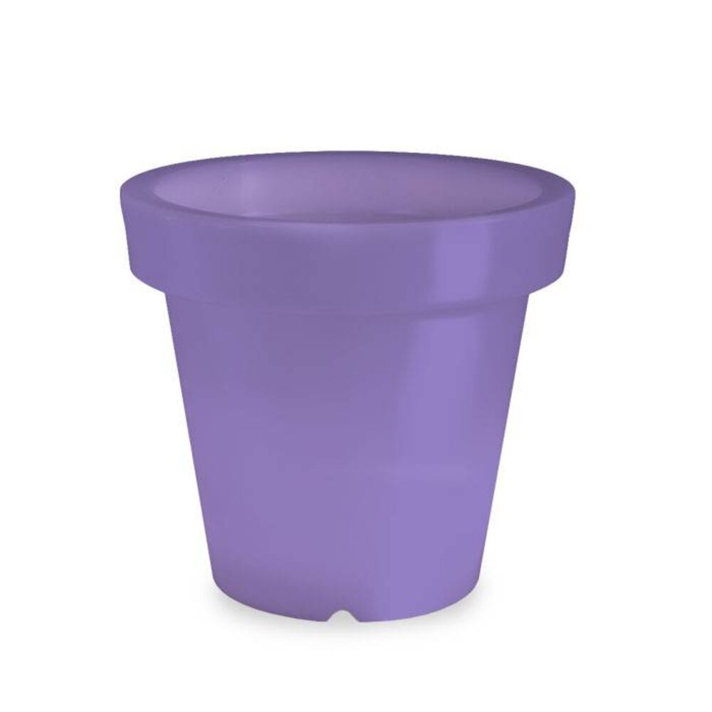 Bloom! POT 90 no light Bloom! POT 90 no light