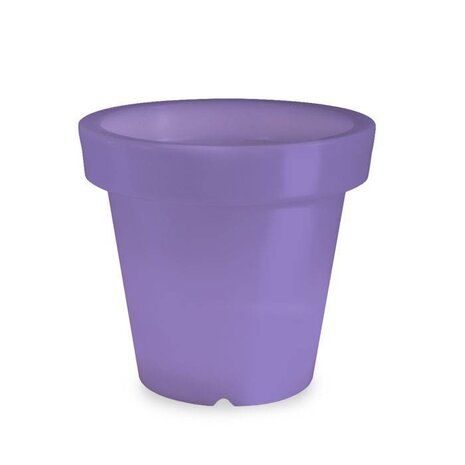 Bloom! POT 90 no light Bloom! POT 90 no light