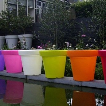 Bloom! POT 90 no light