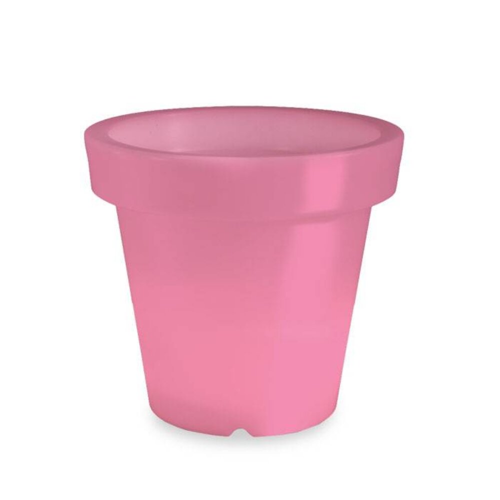 Bloom! POT 90 no light Bloom! POT 90 no light