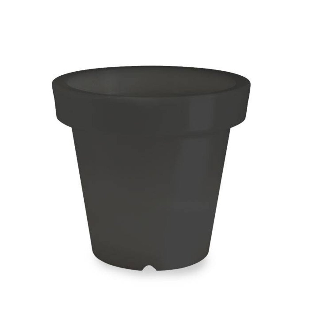 Bloom! POT 90 no light Bloom! POT 90 no light