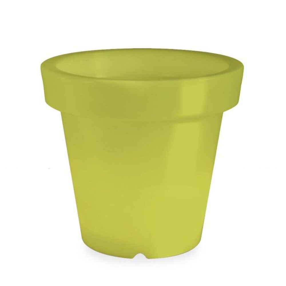 Bloom! POT 90 no light Bloom! POT 90 no light