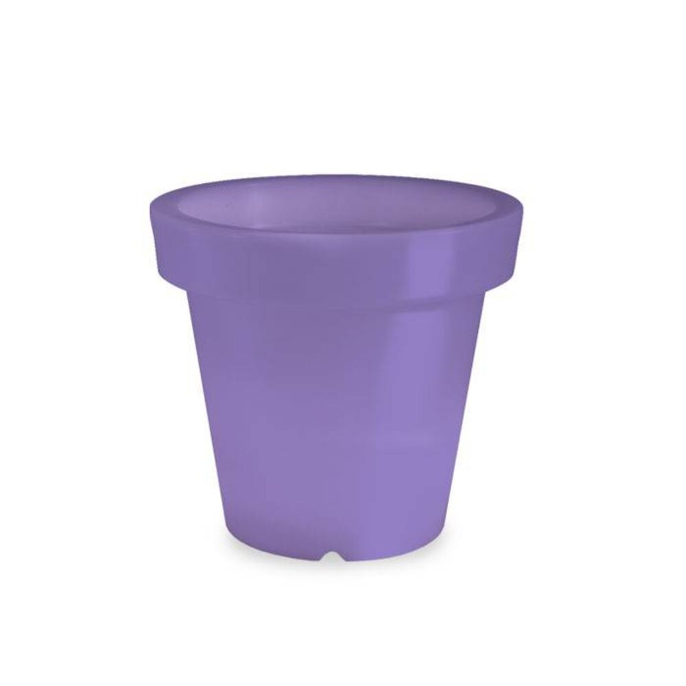 Bloom! POT 60 no light Bloom! POT 60 no light