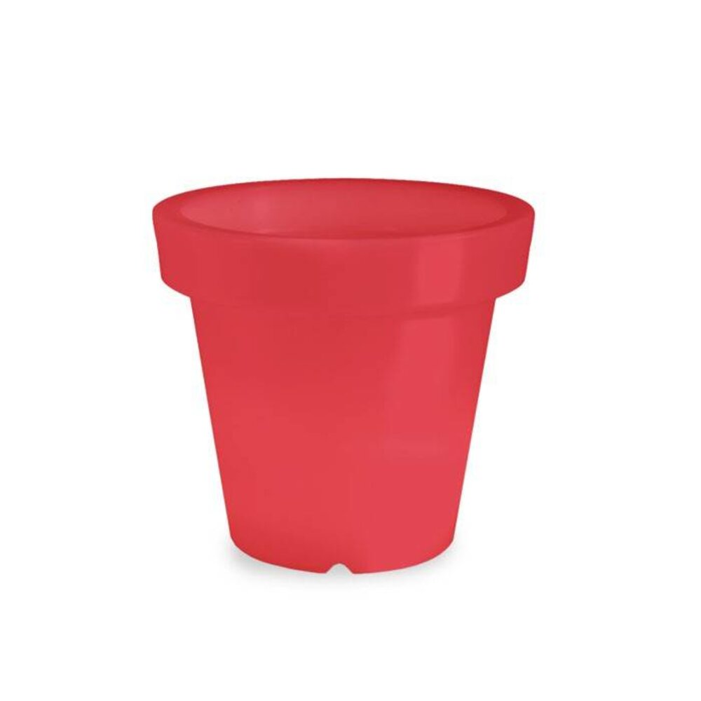 Bloom! POT 60 no light Bloom! POT 60 no light