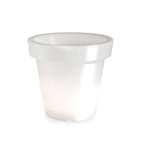 Bloom! POT 60 no light Bloom! POT 60 no light