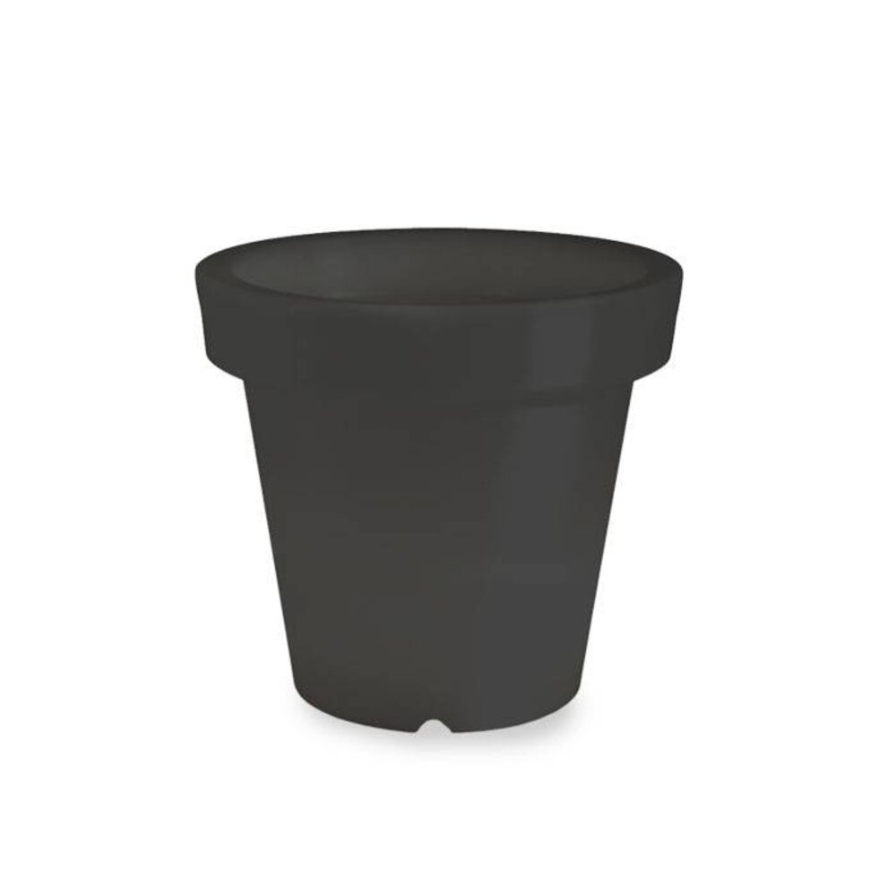 Bloom! POT 60 no light Bloom! POT 60 no light