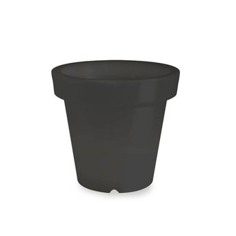 Bloom! POT 60 no light