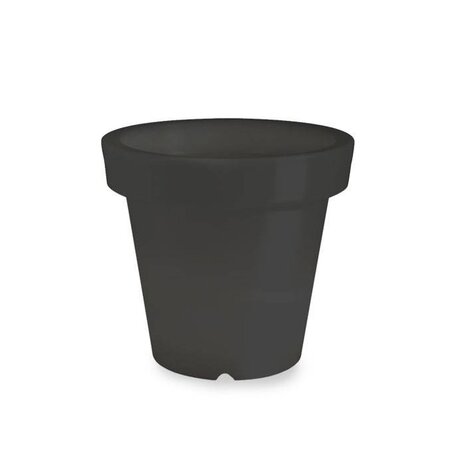 Bloom! POT 60 no light Bloom! POT 60 no light