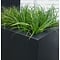 Buxus polyester 200x40x40 cm plantenbak