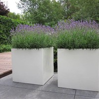 Polyester bloembakken