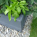 Ecoo Ecoplanc HOL 22 x 4 x 200 cm Ecoo Ecoplanc HOL 22 x 4 x 200 cm