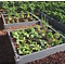 ECO-oh Ecoplanc HOL 22 x 4 x 200 cm