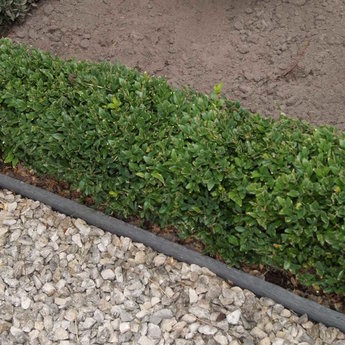 ECO-oh Ecolat GRIJS recht 14 cm x 10 mm, lengte 3 m.