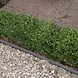 Ecoo Ecolat GRIJS recht 14 cm x 10 mm, lengte 3 m. Ecoo Ecolat GRIJS recht 14 cm x 10 mm, lengte 3 m.