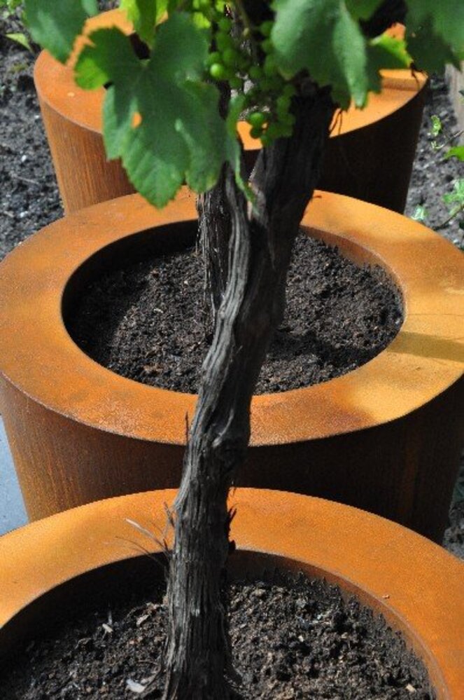 CADO cortenstaal 120x80 cm bloempot CADO cortenstaal 120x80 cm bloempot