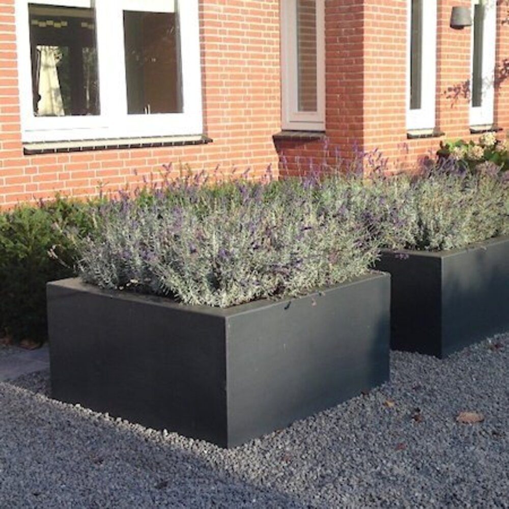 Buxus polyester 50x50x80 cm plantenbak Buxus polyester 50x50x80 cm plantenbak