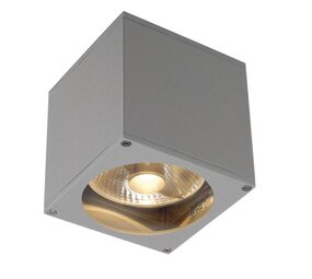 SLV BIG THEO WL Grijs wandlamp SLV BIG THEO WL Grijs wandlamp