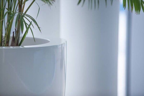 Canna Hoogglans polyester 72x84 cm plantenbak Canna Hoogglans polyester 72x84 cm plantenbak