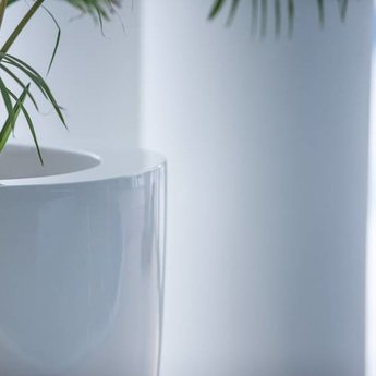 Canna Hoogglans polyester 50x90 cm plantenbak