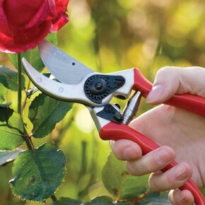 Tuingereedschap Tuingereedschap