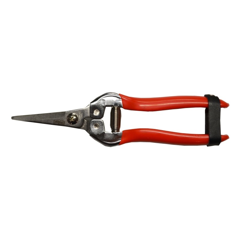 Polet Fruitschaar 185MM Bloemschikschaar afbeelding