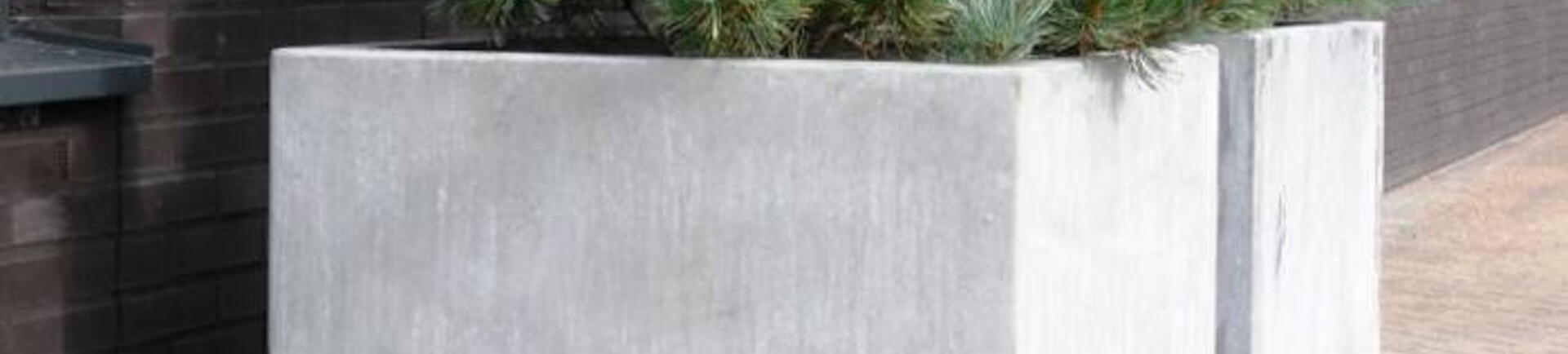 Planten in bloembakken