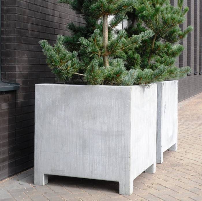 Planten in bloembakken Planten in bloembakken