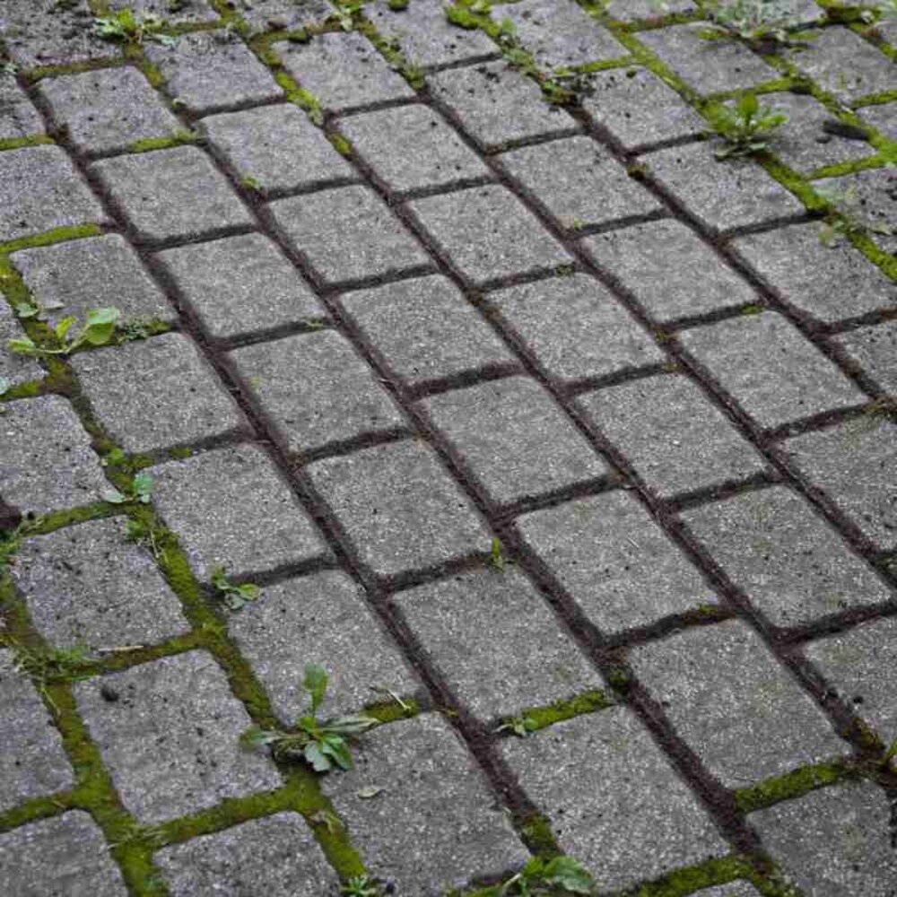 Polet Traditional Voegenkrabber M/ST 1,5M Polet Traditional Voegenkrabber M/ST 1,5M