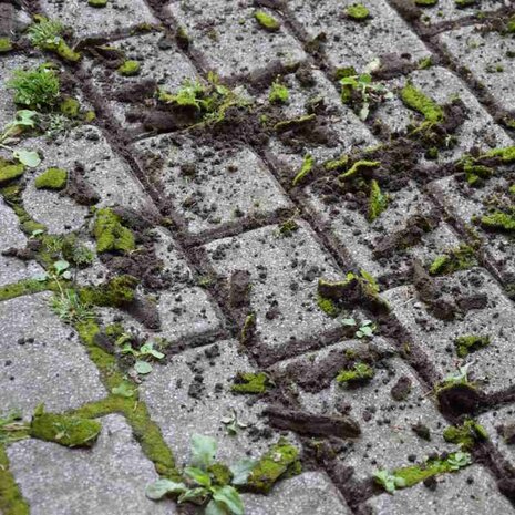 Polet Voegenkrabber zonder steel